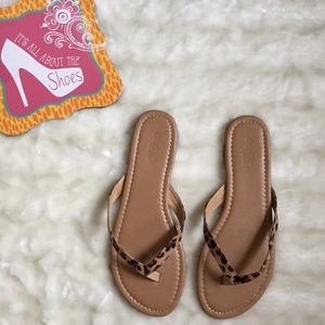Charlotte Russe Cheetah Print Flip Flops Size 8
